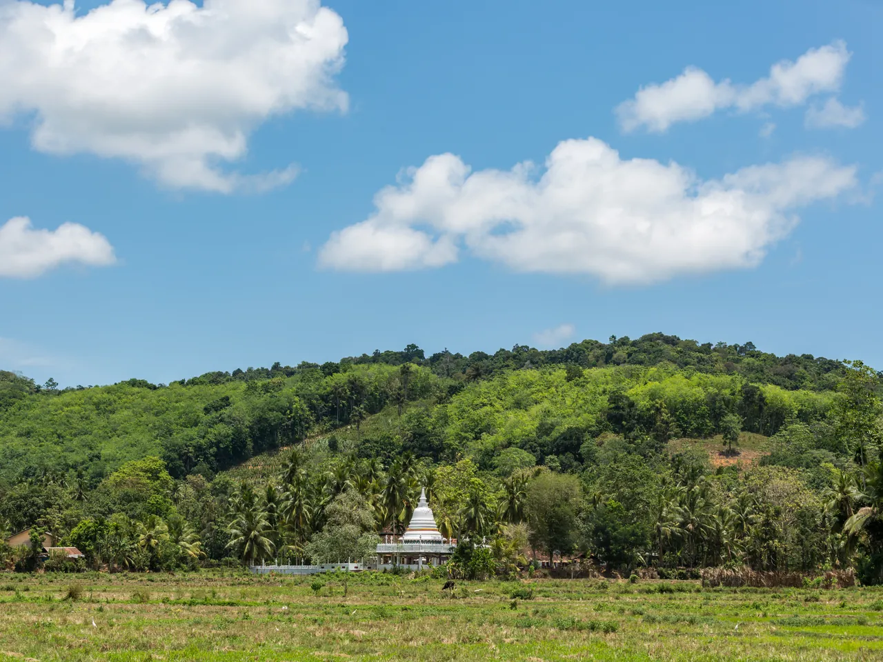Ein weißer Buddha-Stupa zwischen Palmen vor grünen Hügeln und Reisfeldern in Sri Lanka.