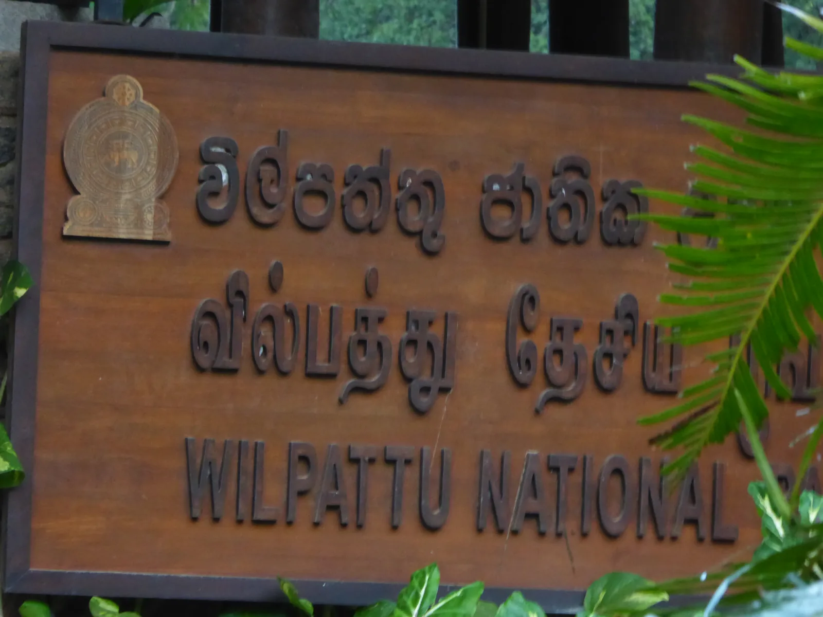 Wilpattu National Park, Sri Lanka