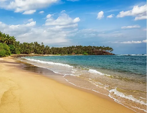 Mirissa, Strand in Sri Lanka